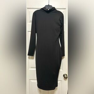 Turtleneck Fitted Long Sleeve Simple Black Dress